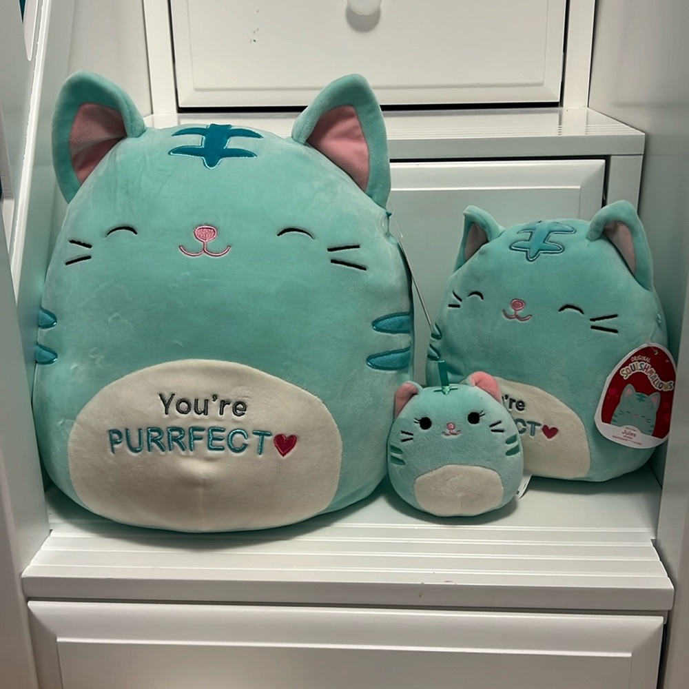 Teal cat family squishmallow bundle